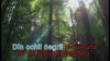  DVD original KARAOKE muzica romaneasca